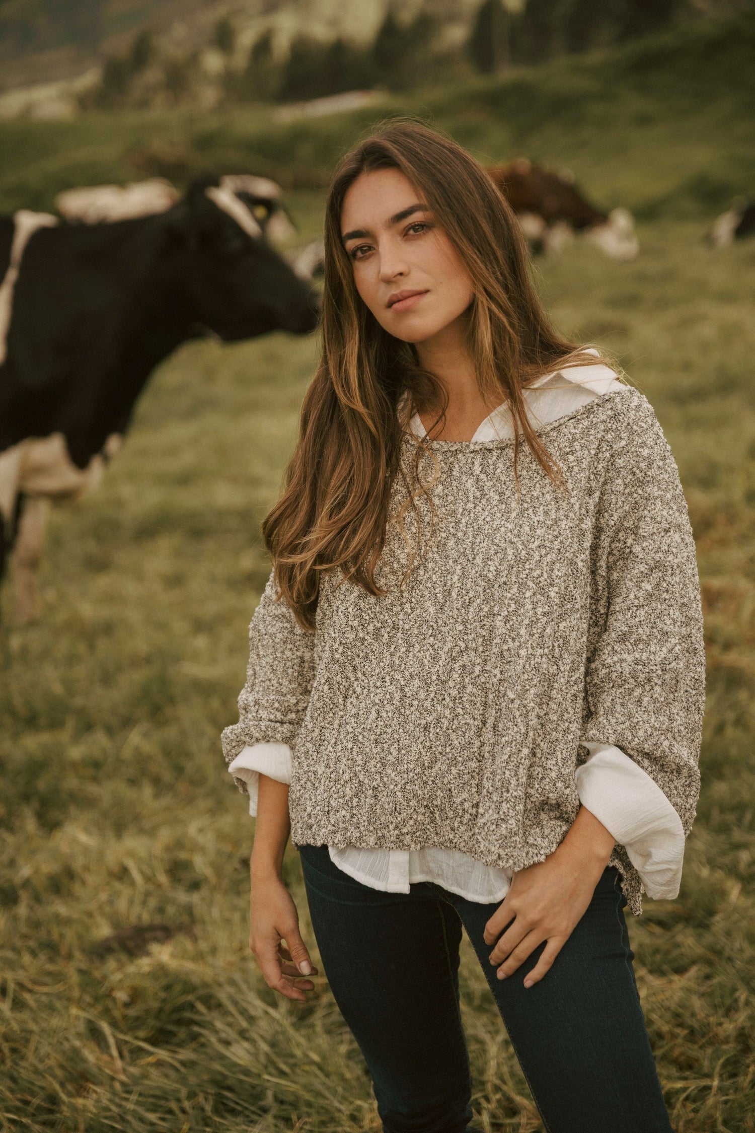 Damen Pullover und Westen
